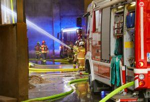 Video-Vorschau zeigen