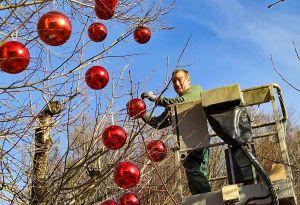 Bericht öffnen Bericht öffnen