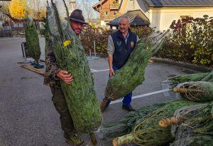 Bericht öffnen Bericht öffnen