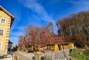 Bericht öffnen Bericht öffnen