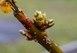 Bericht öffnen Bericht öffnen