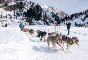 Bericht öffnen Bericht öffnen