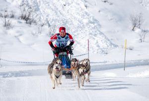 Bericht öffnen Bericht öffnen