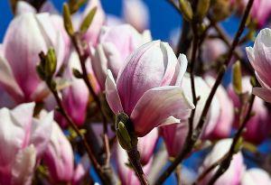 Bericht öffnen Bericht öffnen