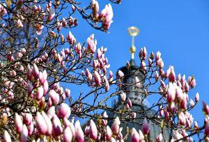 Bericht öffnen Bericht öffnen