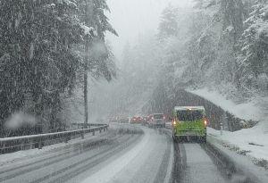 Bericht öffnen Bericht öffnen