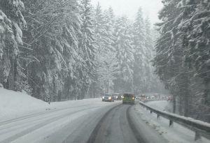 Bericht öffnen Bericht öffnen